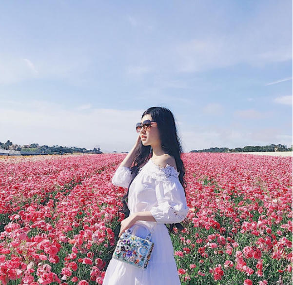 Xách những chiếc túi đắt tiền mang thương hiệu Dior, Chanel...