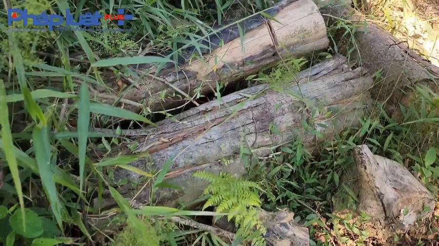 z3855799606995_9df034b8cdcac319c820bde158ae99e1