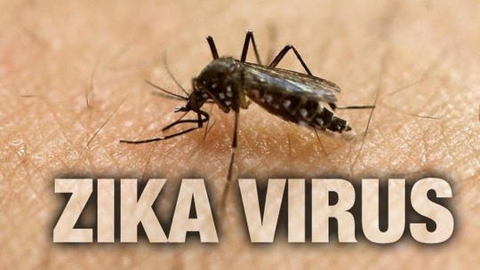 Đồng Nai công bố dịch Zika trên quy mô cấp xã. Ảnh: minh họa
