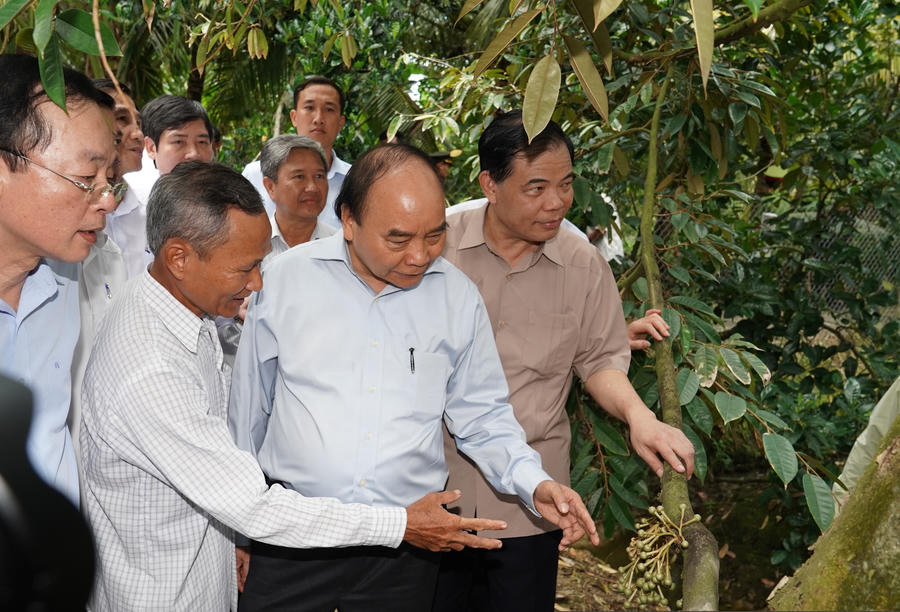 Mặc dù gặp nhiều khó khăn, thách thức do đại dịch Covid-19 gây ra, nhưng khu vực nông, lâm nghiệp và thủy sản đã thể hiện vai trò bệ đỡ của nền kinh tế, nông dân “được mùa, được giá”. - Trong ảnh: Thủ tướng Nguyễn Xuân Phúc thăm mô hình sản xuất sầu riêng “trái mùa nghịch vụ” tại xã Hiệp Đức, thị xã Cai Lậy, tỉnh Tiền Giang, ngày 23/9. Ảnh: VGP