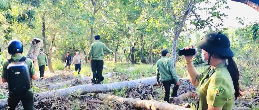 Lực lượng kiểm lâm phát hiện một vụ vi phảm bảo vệ rừng.