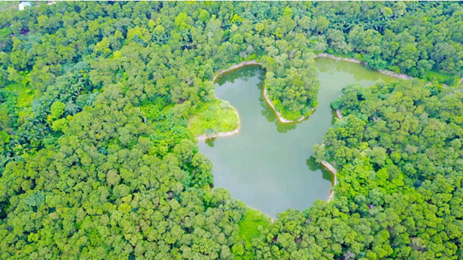 Vườn thực vật Hà Nội tại phường Tây Tựu. (Ảnh: nongnghiephuuco.vn)