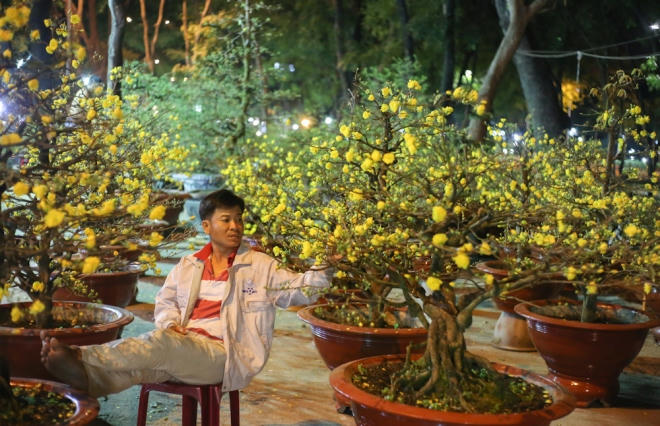 "Thức đêm đã buồn mà nhìn cảnh hơn một nửa cây mai của tôi còn nở sớm, khó bán còn nản hơn", anh Đào Ngọc Hải (quận 12) rầu rĩ nhặt những cánh mai đã nở bung.