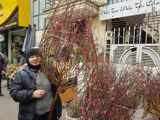 Theo khảo sát của phóng viên Pháp luật Plus, giá của các cành đào được bày bán giao động từ 50 đến 500.000 đồng tùy vào độ to nhỏ, nhiều hoa hay ít.