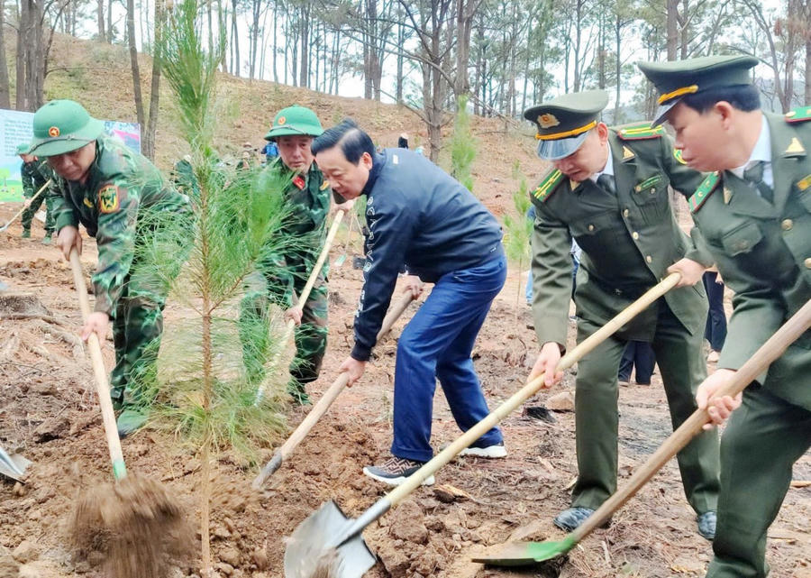 Phó Thủ tướng Chính phủ Trần Hồng Hà tham gia Tết trồng cây.