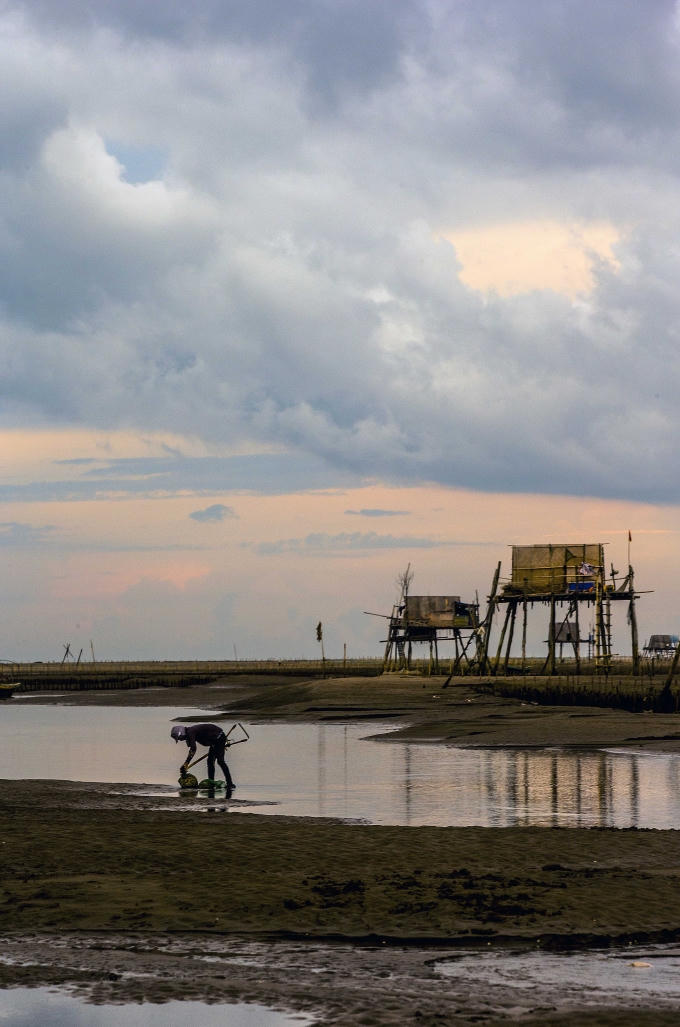 C&agrave;o ngao tự nhi&ecirc;n ngo&agrave;i lạch.