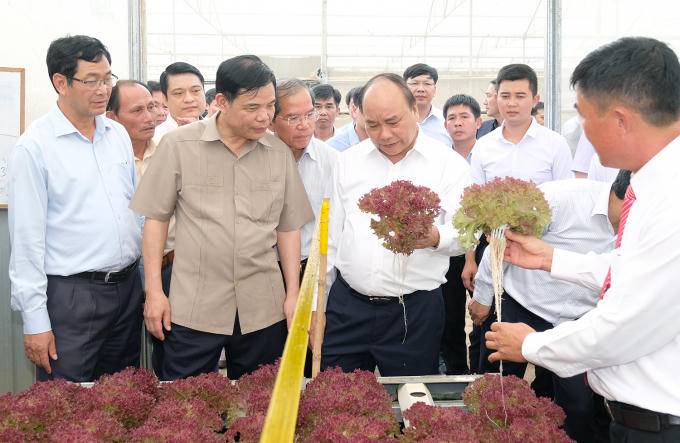Năm 2016, tổng doanh thu của Công ty đạt trên 120 tỷ đồng. 10% sản lượng nông sản sản xuất ra được xuất khẩu đi Nhật Bản, Hàn Quốc và các nước ASEAN. Với quy mô sản xuất như hiện nay, Công ty đang tạo thu nhập ổn định cho khoảng 300 lao động và các hộ liên kết.