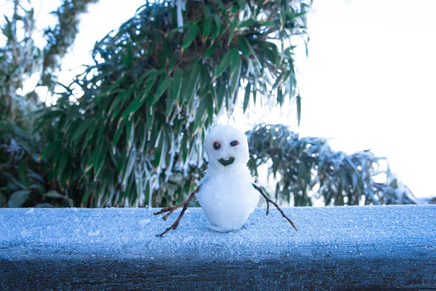 z5009956561028_aa97843b0c30608e655239ecc8c76cf9