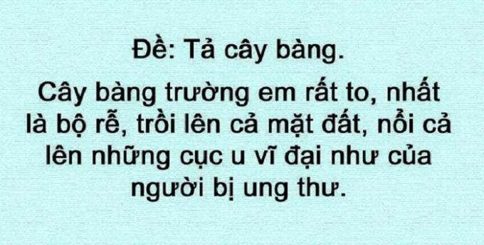 Tiếp tục tả cây bàng.