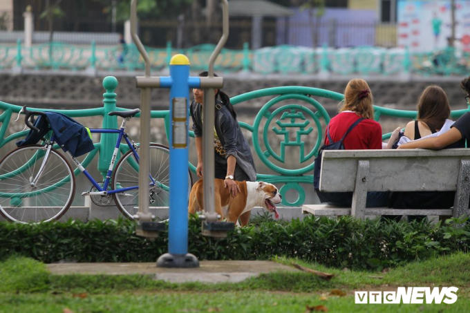Một con chó giống Pitbull cũng không được rọ mõm, chủ nhân vẫn thoải mái dắt đi dạo nơi đông người.