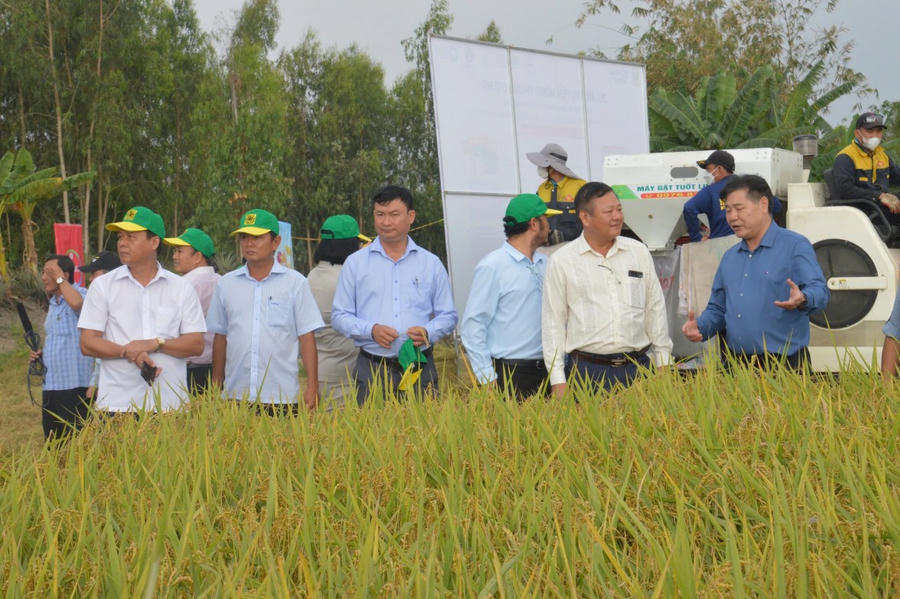 Giám đốc Trung tâm Khuyến nông Quốc gia Lê Quốc Thanh (áo sơ mi xanh) và ông Nguyễn Văn Nghĩa - Phó Giám đốc Sở Nông nghiệp và Môi trường tỉnh Kiên Giang cùng các đại biểu tham quan, đánh giá ruộng lúa tham gia đề án Kiên Giang