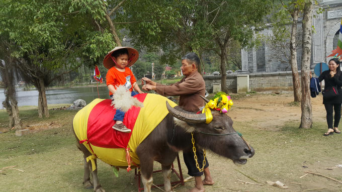 Mỗi lần cưỡi trâu chụp hình có giá là 10 nghìn đồng.
