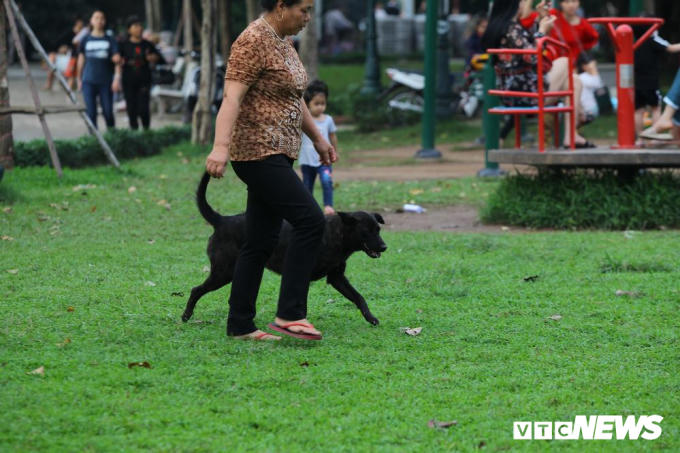 Một con chó không rọ mõm đi cạnh chủ tại một nơi vui chơi công cộng.