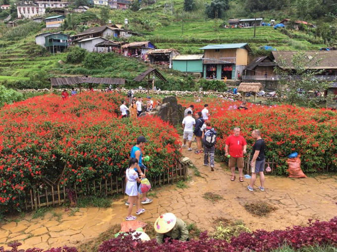 Chiêm ngưỡng thiên nhiên bản Cát Cát nơi lưu giữ nhiều nét văn hóa truyền thống của người Mông