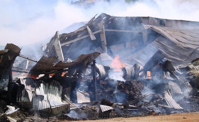 Thiệt hại đến thời điểm hiện tại đã lên đến hàng chục tỷ đồng.