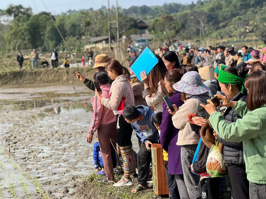 FB_IMG_1674993215223