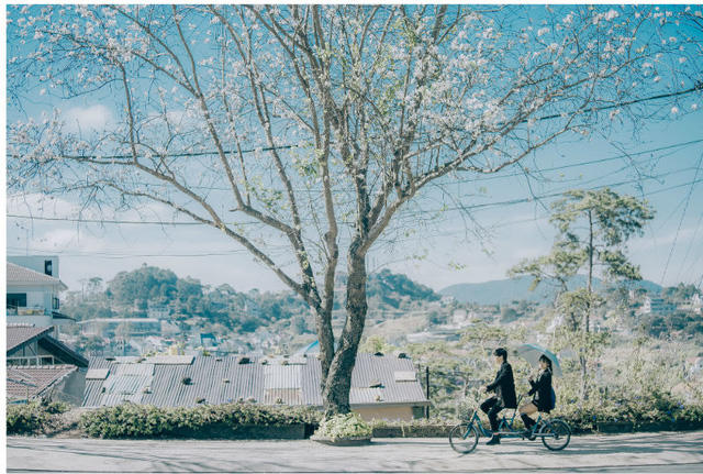 Ngỡ ng&agrave;ng bộ ảnh tại Đ&agrave; Lạt l&atilde;ng mạn tựa phim H&agrave;n