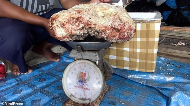 Người ngư dân này mong có thể đổi đời nhờ