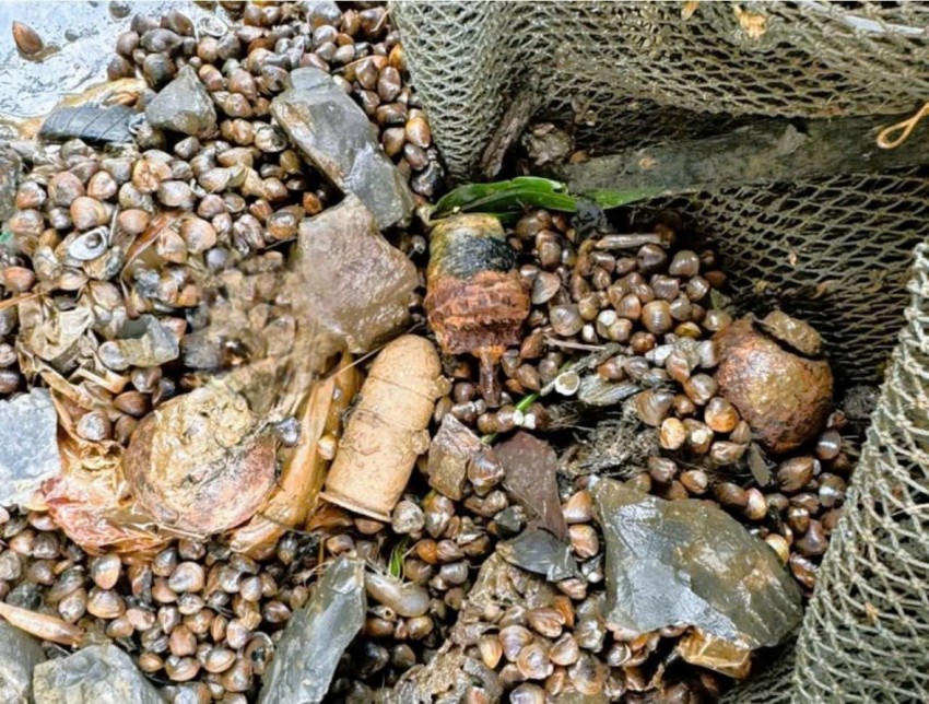 Trong lúc đánh bắt trên sông Đồng Nai người dân phát hiện ba vật thể nghi là đạn và lựu đạn, trong đó có một quả còn kíp nổ.