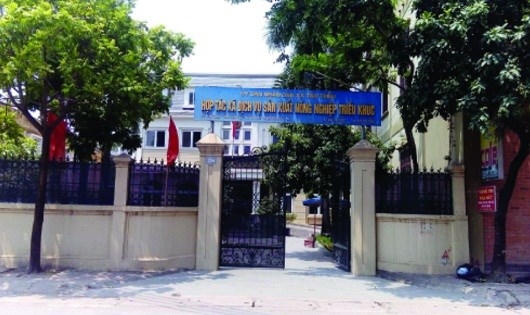 trieu_khuc_OMWN.jpg