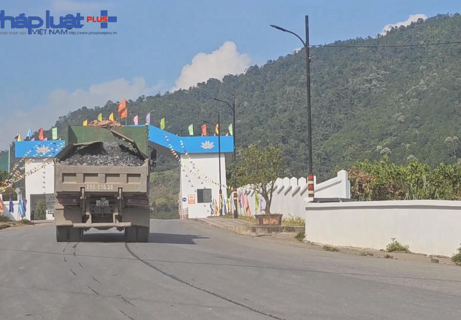 z4763407278111_bf7df9c0faa90ef727ead9ac1867b26d-0805