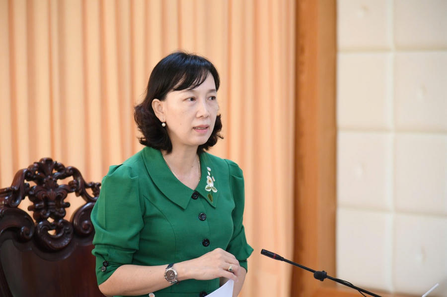 Tỉnh ủy viên, Phó Chủ tịch UBND tỉnh Nguyễn Thị Minh Thúy phát biểu kết luận tại buổi làm việc