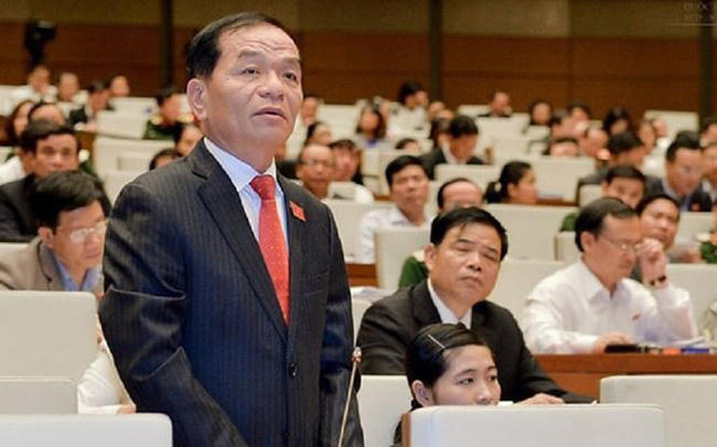 ĐBQH Lê Thanh Vân trong một lần phát biểu tại Quốc hội (Ảnh trích nguồn internet)