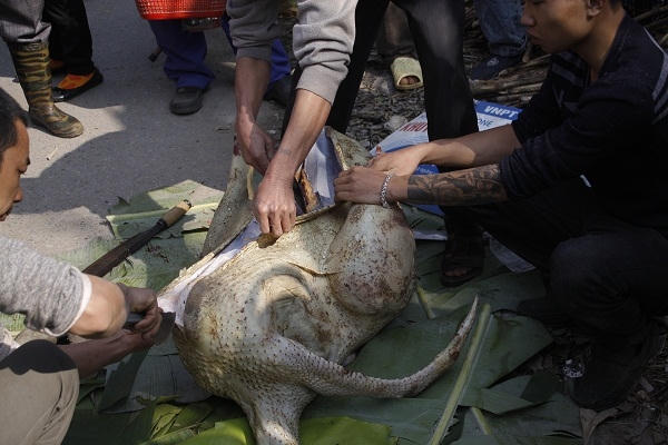 Nhiều người cho rằng, 300 nghìn đồng/kg cũng không phải là đắt. Với cả đây là thịt đà điểu, chẳng mấy khi mua được về dùng trong dịp Tết, nên chấp nhận với giá này.