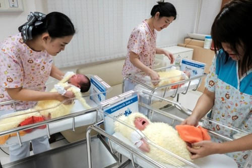 Theo lịch âm, năm mới sắp đến là năm con Gà.