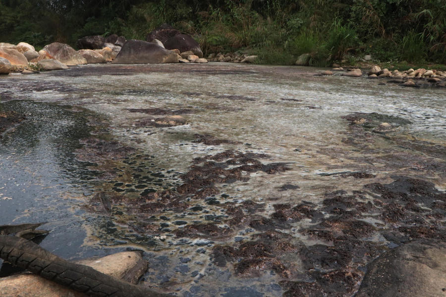 z4983630410310_3c29e7ba92eec92412f060f7f2715945