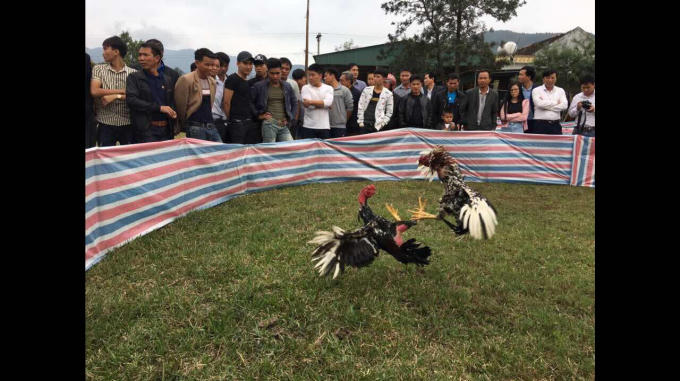 Trò chơi truyền thống đáp ứng nhu cầu vui chơi, giải trí của nhân dân và du khách.