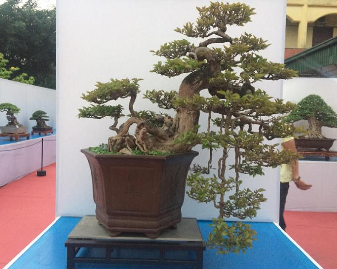 Cùng nhiều tác phẩm cỡ nhỏ thu hút sự chú ý của đông đảo du khách thăm quan.