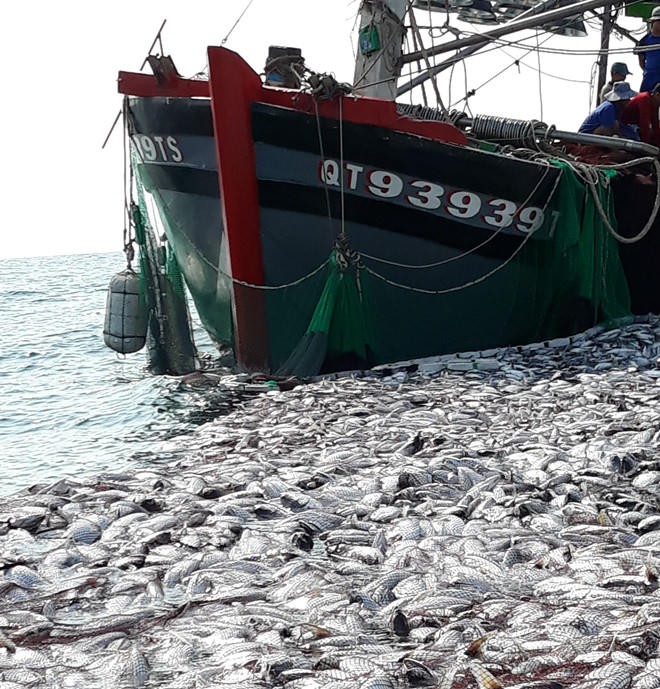 Con tàu và mẻ cá khủng của anh Viện trên biển.