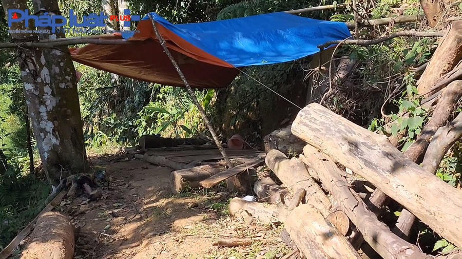 z3855799604667_9eb4b12a57a409449f28c270405f9ccd