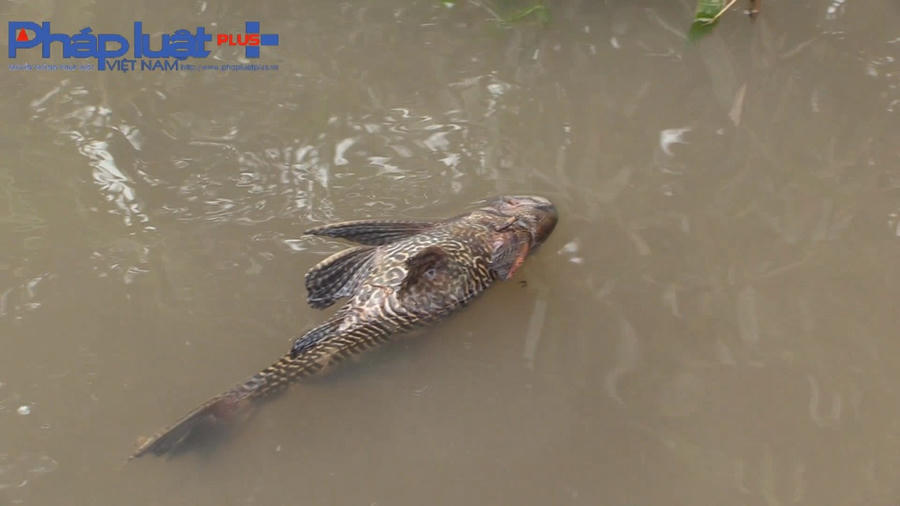 z3952392670979_d1e2032f24c40c55ad2d7562d67ddc93-0736