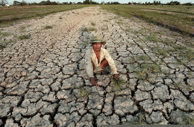 Một nông dân ở Ba Tri, Bến Tre