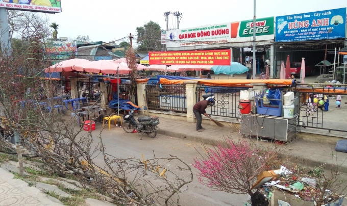 Ngay bên "chợ hoa sau tết", những cành đào bị bỏ vào thùng rác.