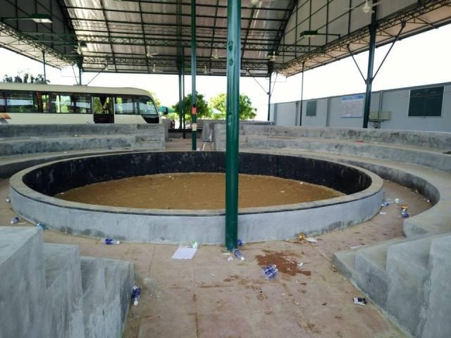 Trường gà được xây dựng rất quy mô.