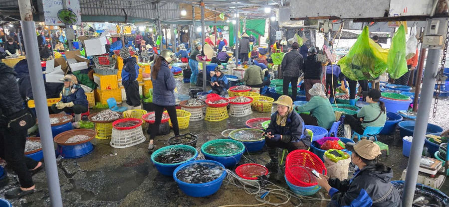 Nhiều tiểu thương đang kinh doanh buôn bán hải sản tươi sống tại Khu cảng cá Bến Do.