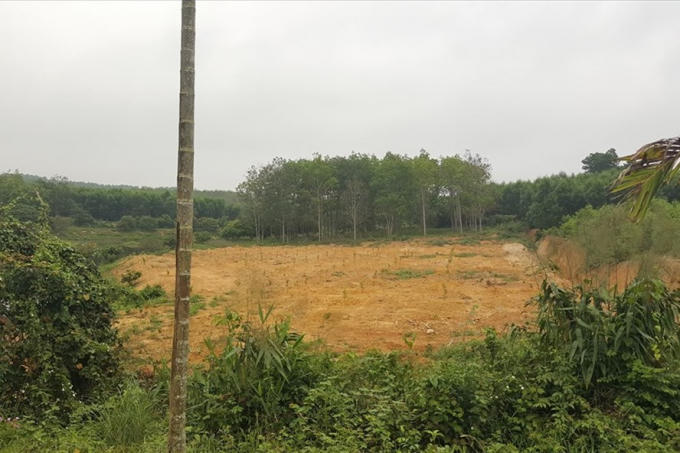 Một phần diện tích trang trại trên đất rừng của ông Thái. Ảnh: Hưng Thơ.