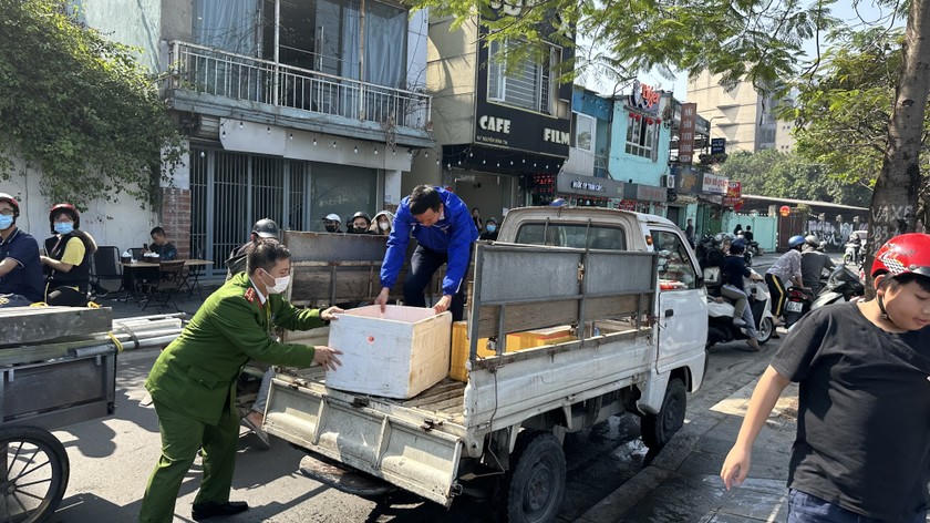 Cá sẽ được tập hợp và vận chuyển ra sông Hồng.