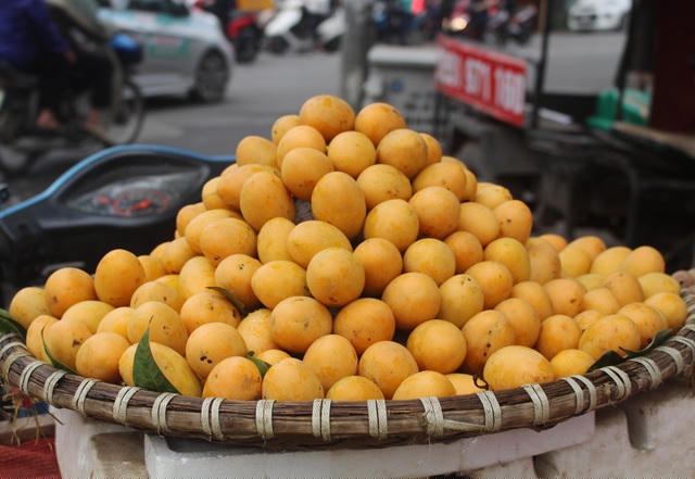 Giá cho mỗi cân thanh trà dao động từ 150.000 - 200.000 đồng/kg.