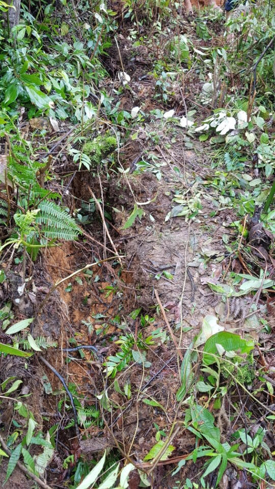 Khe nứt xuất hiện trên đỉnh Nả Hấu Trông, bản Phình Hồ, xã Dế Xu Phình đe dọa tính mạng, tài sản của 23 hộ dân, 130 nhân khẩu.