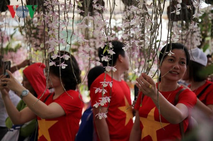 Những cái tên Hoàng thảo trầm, Hoàng thảo kèn, phi điệp... là những loài lan đặc trưng ở Lai Châu