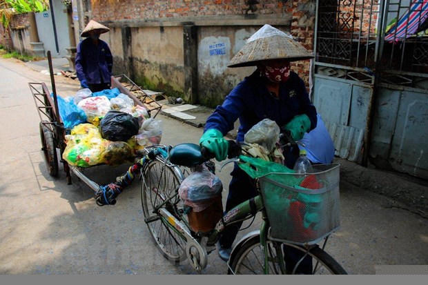 Thiếu xe đẩy, xe cơ giới không vào các ngõ xóm dưới 2m, công nhân ở xã Tiên Dương, huyện Đông Anh phải dùng xe bò kéo để đi gom rác. (Ảnh: Q.Sỹ/Vietnam+).