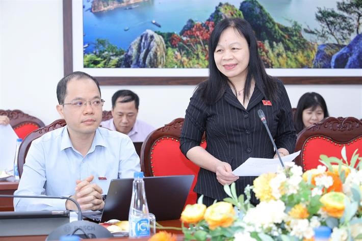 Bà Nguyễn Thị Mai Hoa - Phó Chủ nhiệm Uỷ ban Văn hoá và Xã hội của Quốc hội phát biểu.