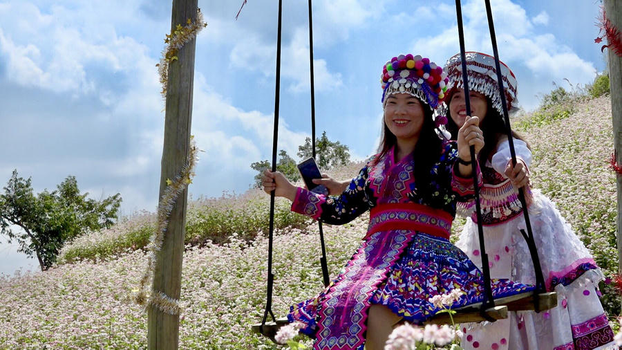 diem tham quan nui tình (6)