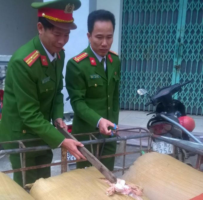 Hơn 500 kg nội tạng hôi thối bị Cảnh sát trật tự bắt giữ.