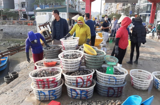 Video: Cận cảnh cuộc sống của người dân huyện Vân Đồn sau những ngày dỡ lệnh phong tỏa