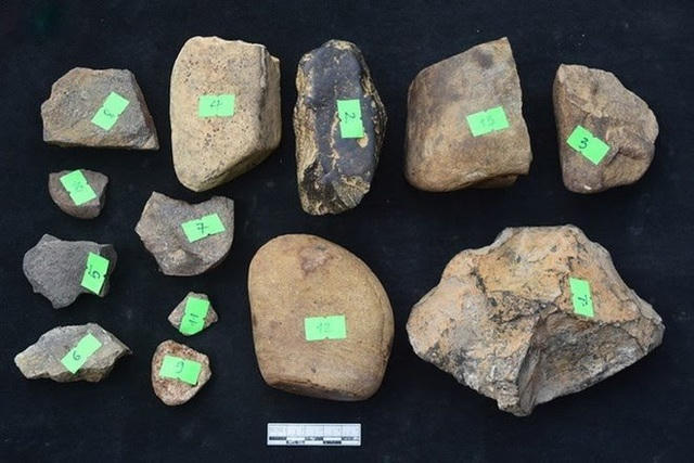 Anh264.
